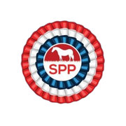 Showponyprep.com