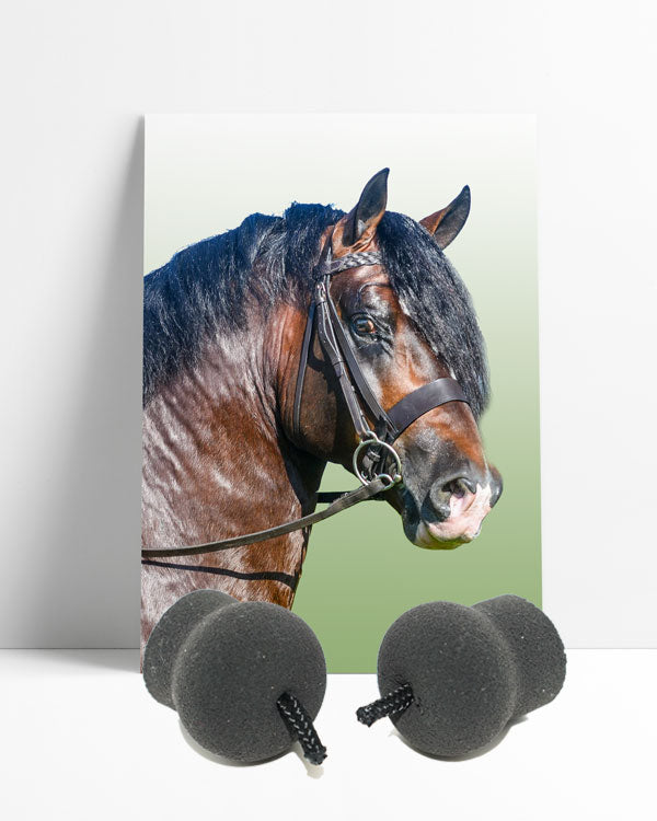 Perform Equine Ear plugs