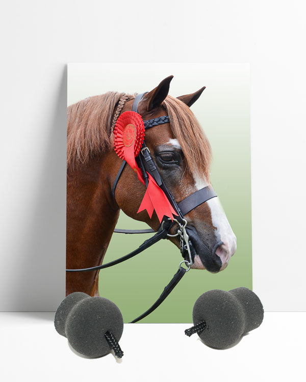 Perform Equine Ear plugs