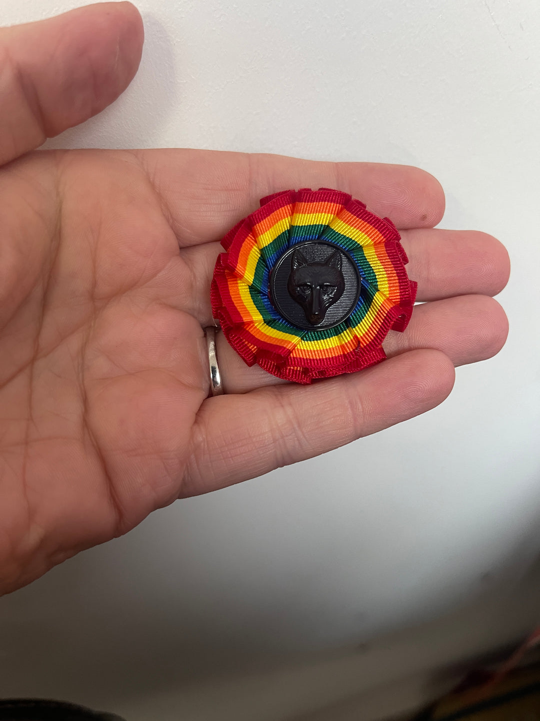 Rainbow lapel pin