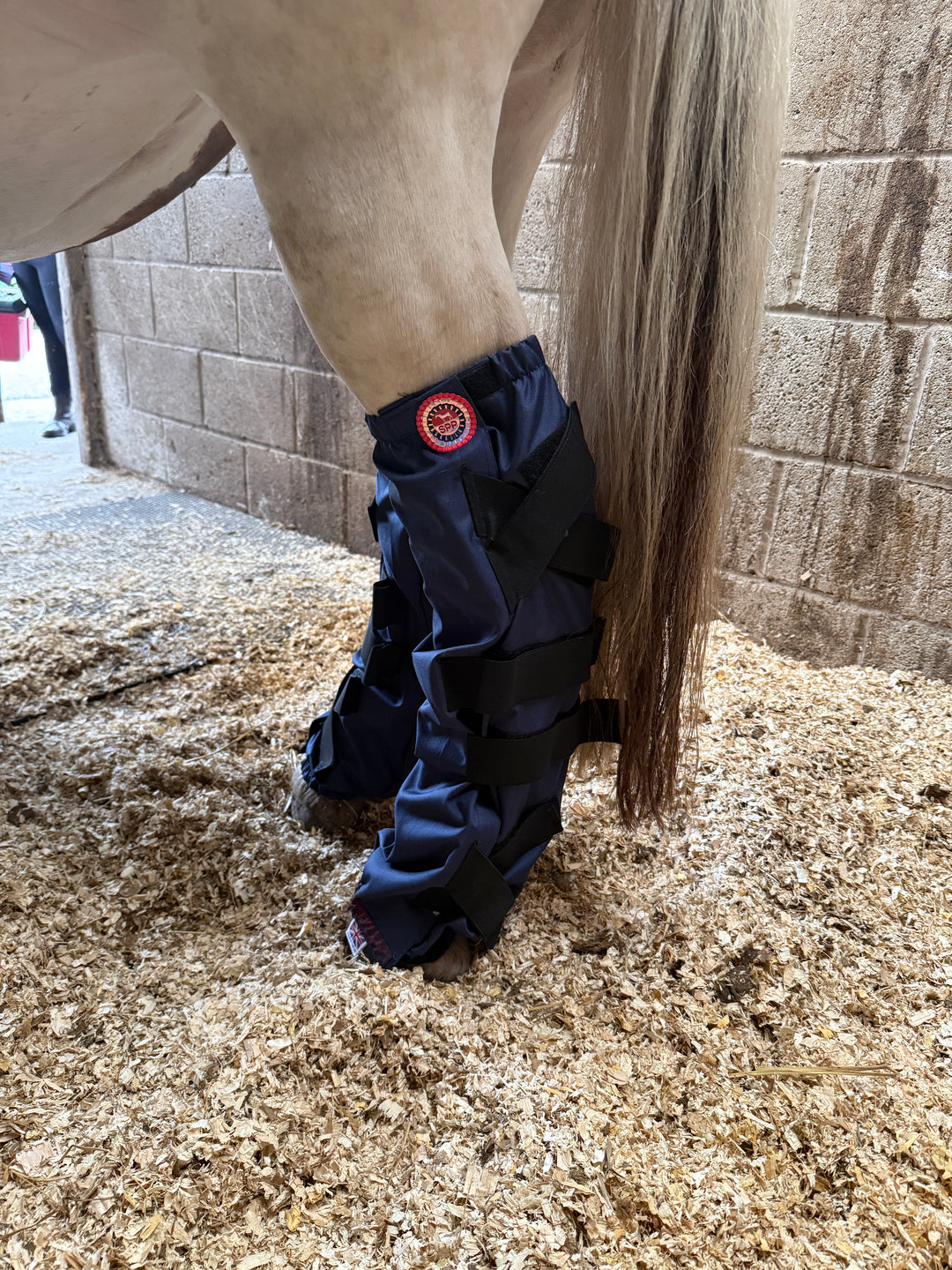 Waterproof Waders