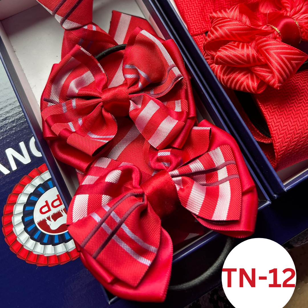 MATCHING ZIP TIE HAIR BOWS
