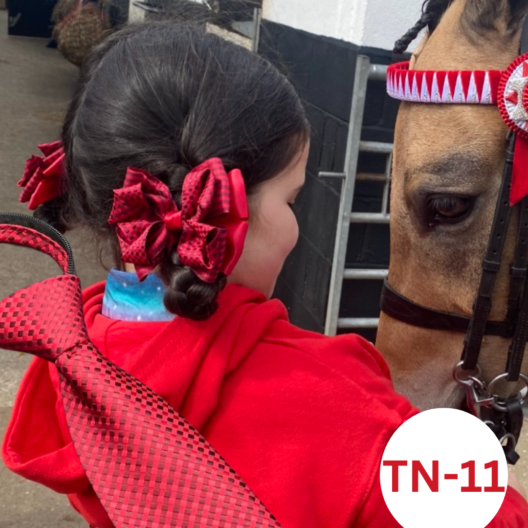 MATCHING ZIP TIE HAIR BOWS