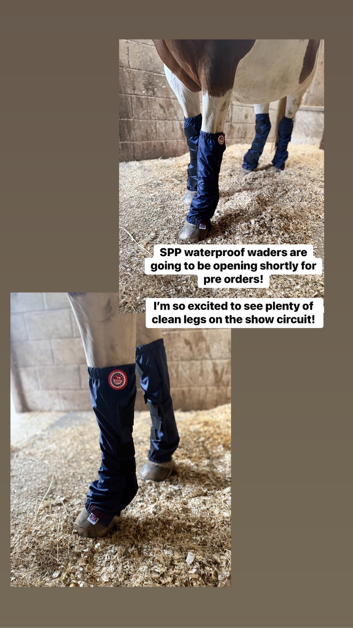 Waterproof Waders