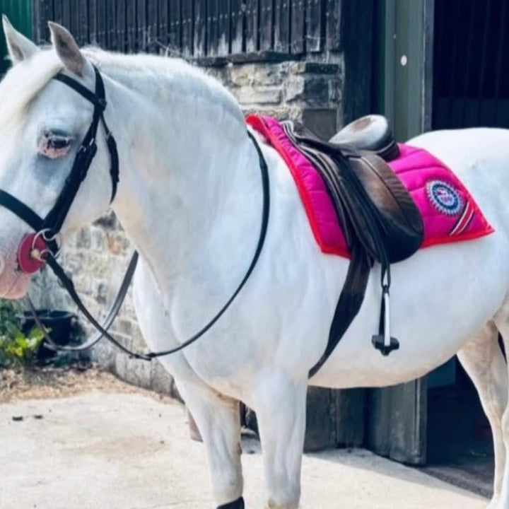 Team SPP Luxury Saddle Pad