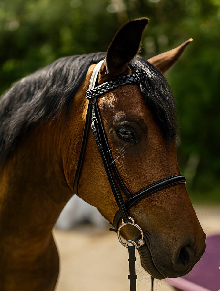 SPP Plaited Leather Browband