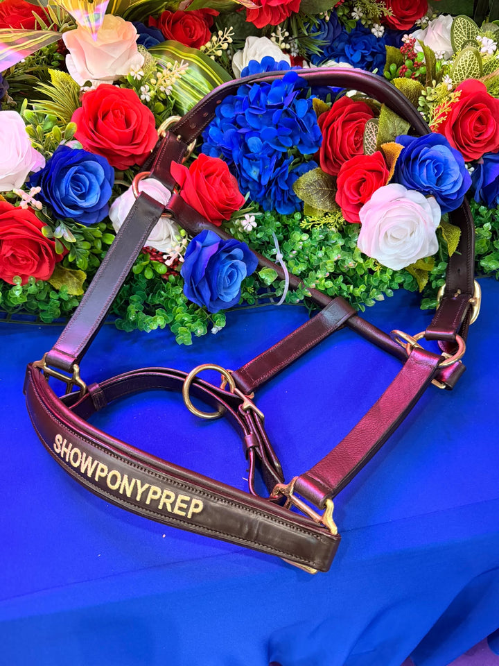 SPP Leather Headcollar