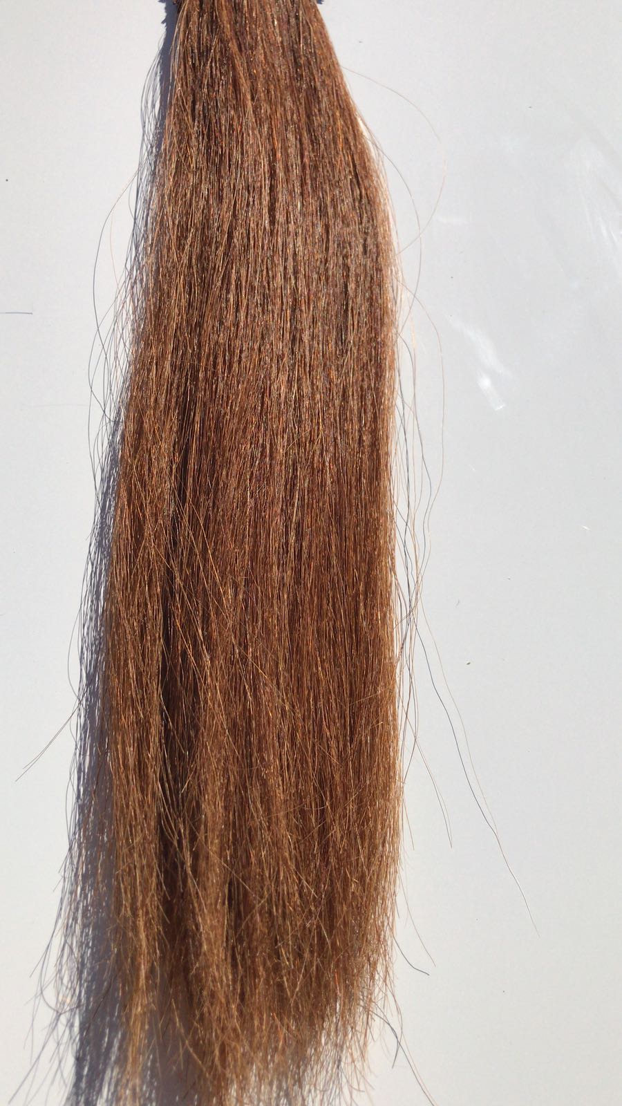 FALSE TAIL