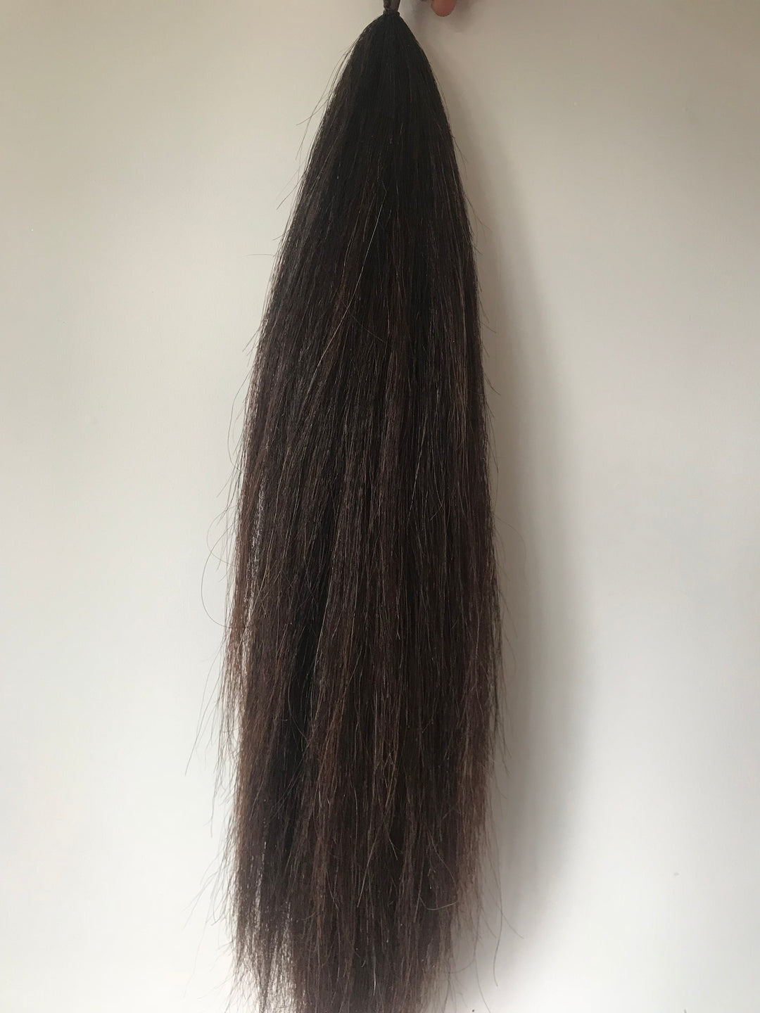 FALSE TAIL