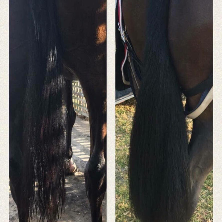 FALSE TAIL