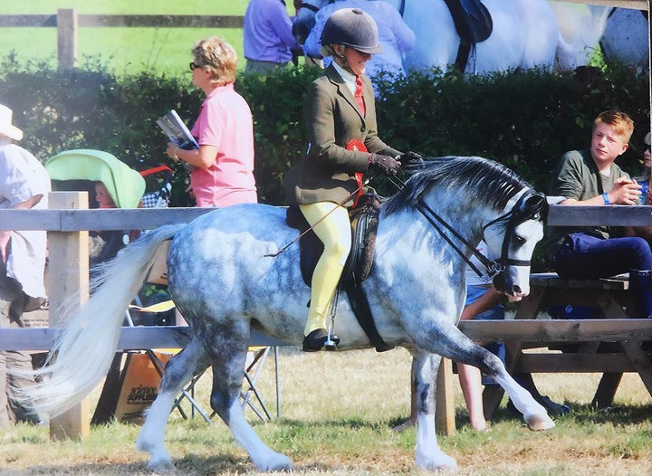 Native / Dressage Extra Long False Tails