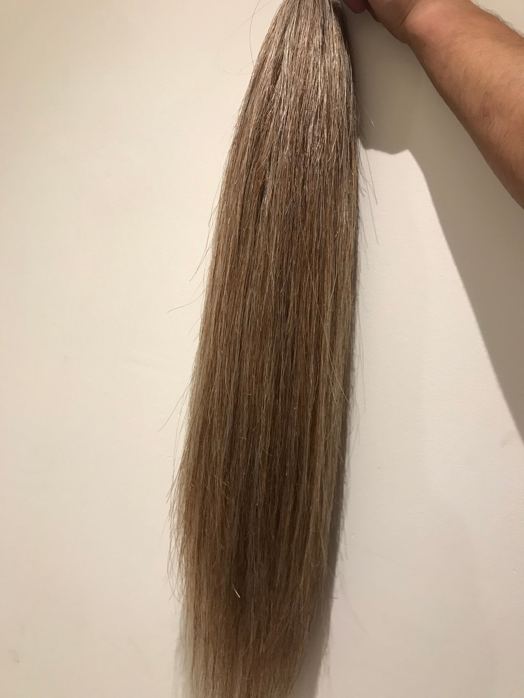 FALSE TAIL