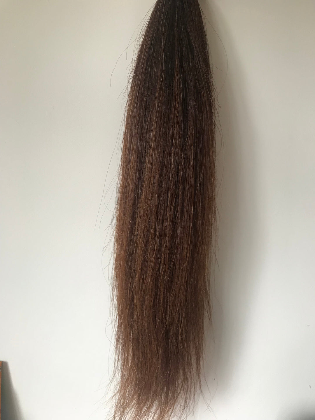 FALSE TAIL