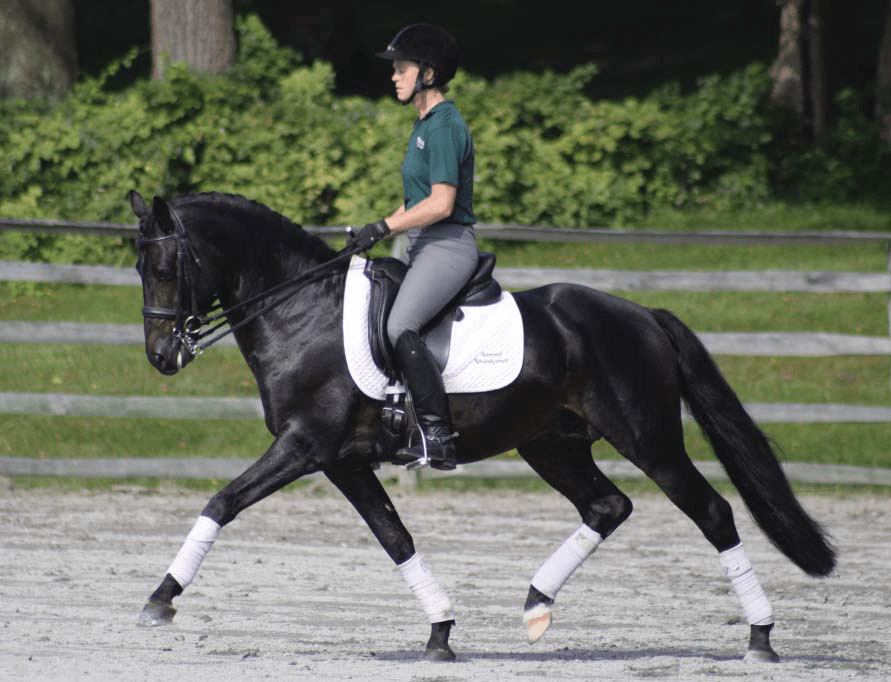 Native / Dressage Extra Long False Tails