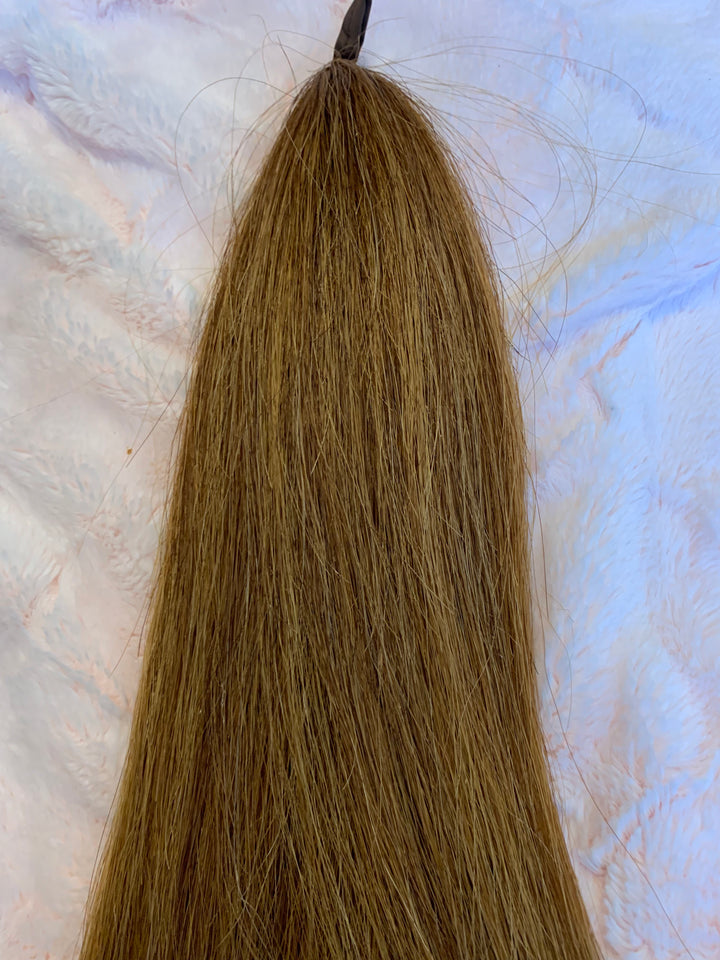 FALSE TAIL